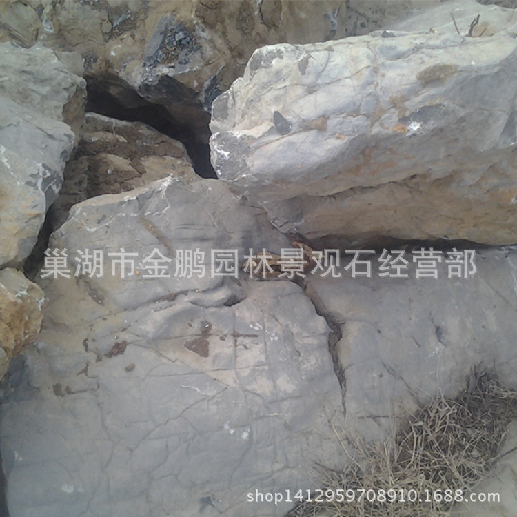 小太湖石 (12)