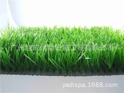 足球场人造草坪1