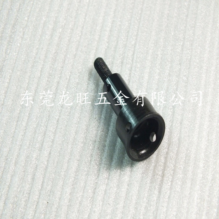 DSCF0256