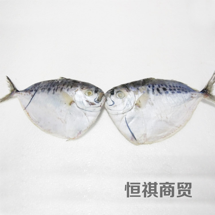 冷冻粗加工水产品-厂家直供 恒祺商贸 冷冻刀鲳鱼 美味飞刀 皮刀鱼-冷冻粗加工