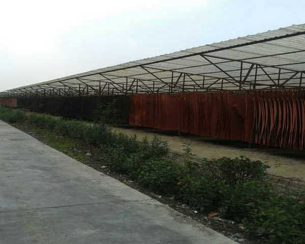 mmexport1413950075355