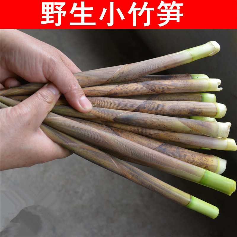 深山野生竹笋 湘西农家土特产湖南安化新鲜春笋批发500g 超好吃!