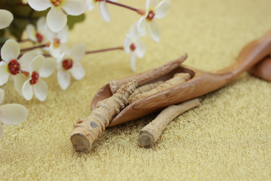 植物原药材-专业供应 本色无硫三七中大根 优质