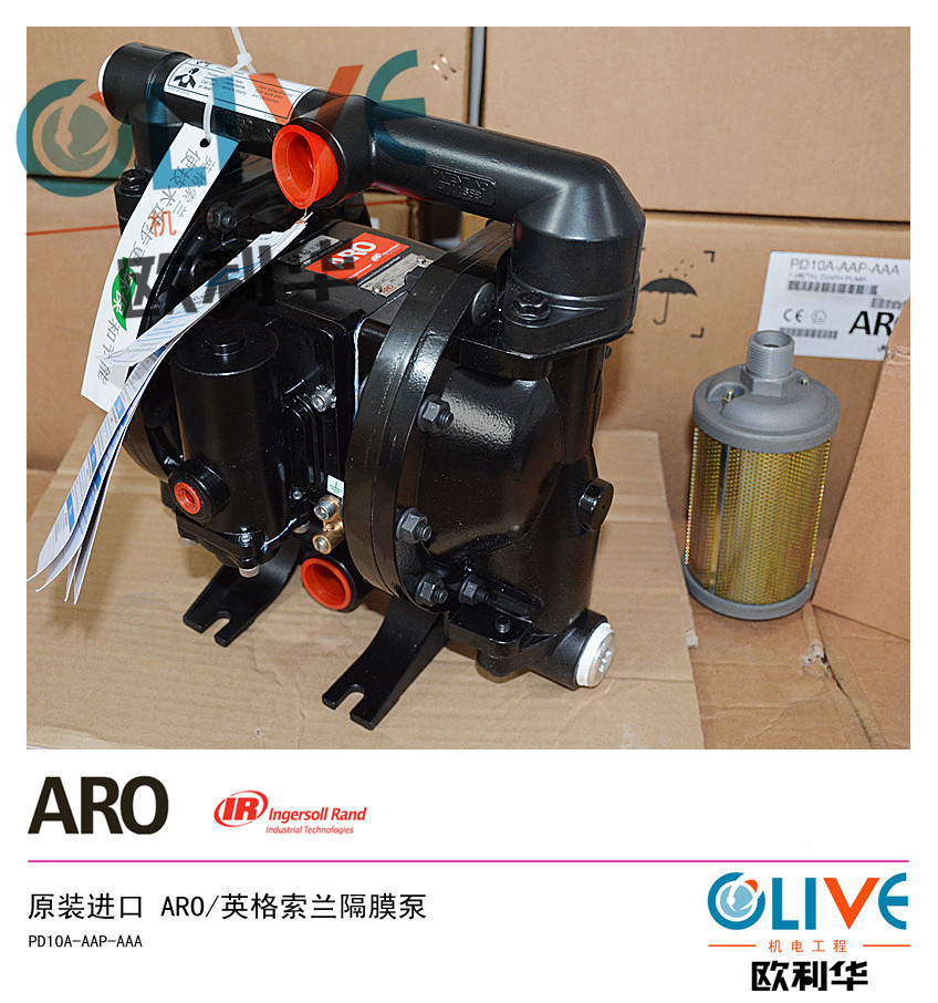 PD10A-AAP-AAA 英格索兰气动隔膜泵 (2)