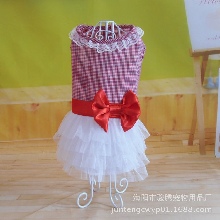 SAM_8293_副本