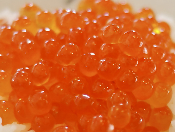 挪威三文鱼籽 salmon roe 寿司三文鱼籽 サーモンの花の种を 图片_高清大图 - 阿里巴巴
