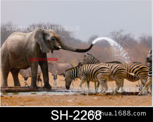 3D立体画厂家批发