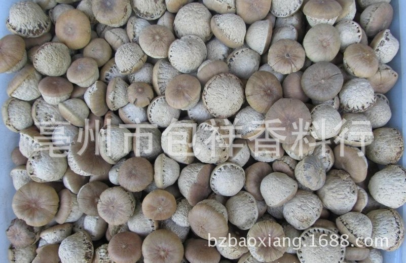 堂虫草肾茶招商订购+健康调肾茶补肾壮阳茶早