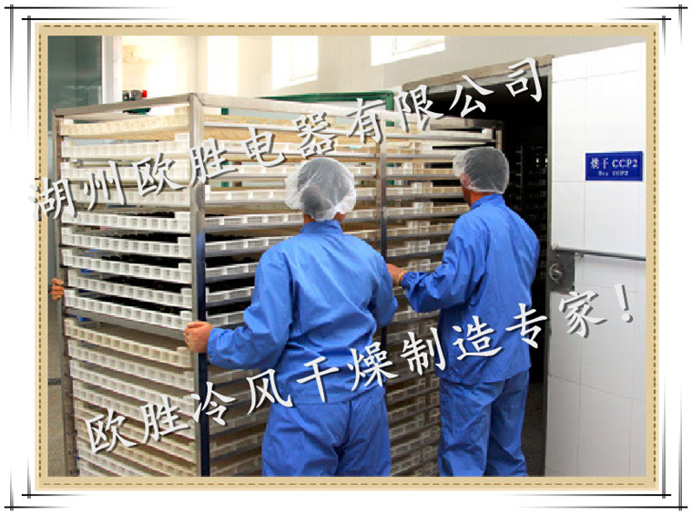 海参干燥图_副本