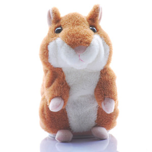 【金仓鼠】金仓鼠价格\/图片_金仓鼠批发\/采购