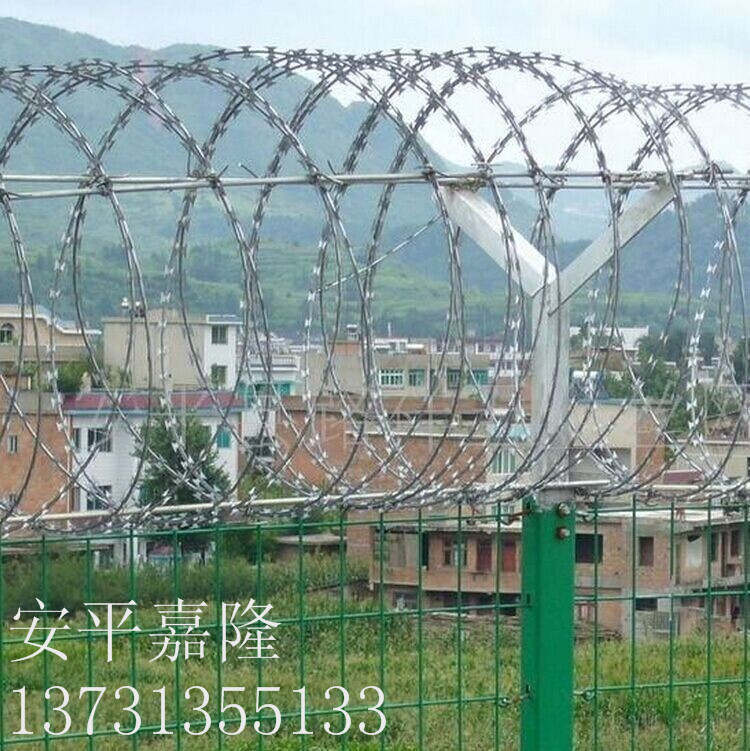 QQ图片20140612151236_副本