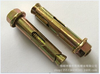 法兰母套管壁虎11