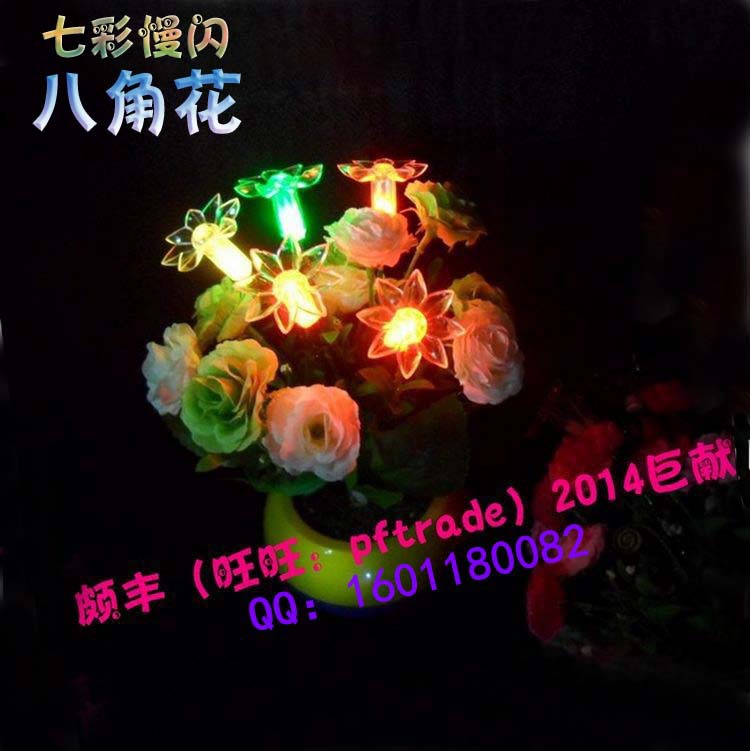 conew_conew_八角花1 拷貝