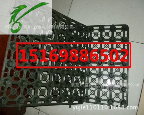 P1020101