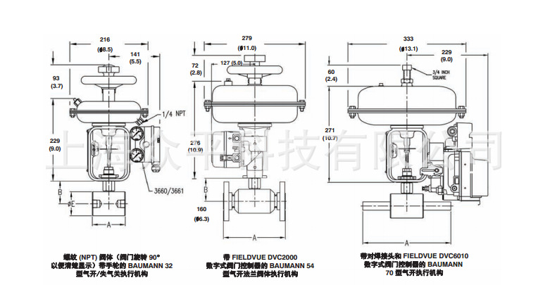 Baumann24000SBߴD1