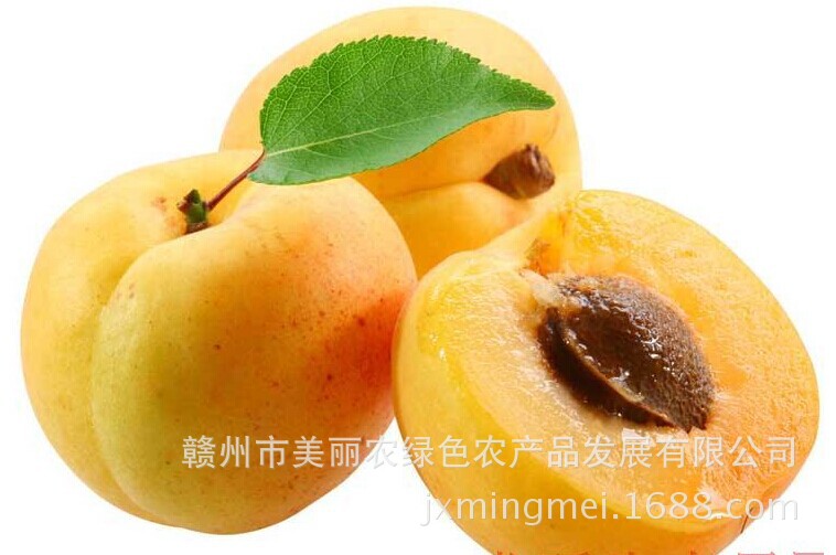 【国内优质水果新鲜水果新疆黄杏饱满鲜甜】