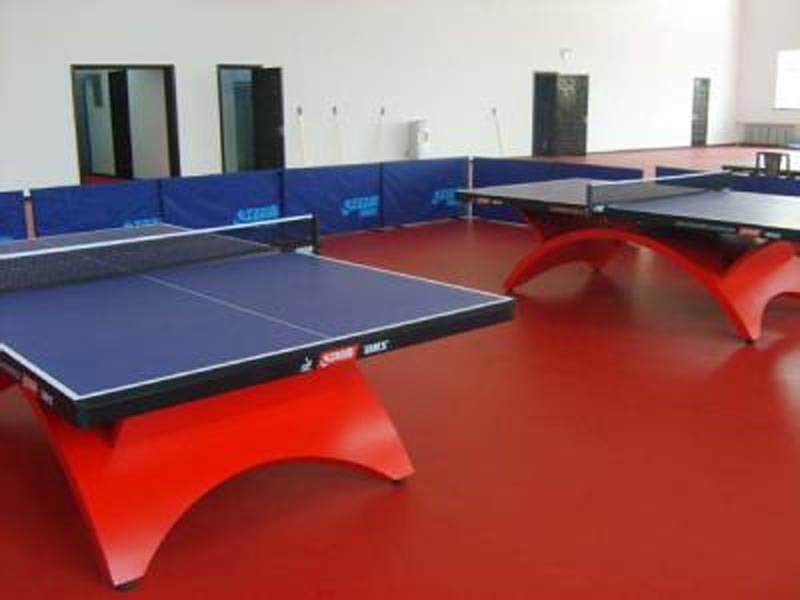 乒乓球运动场?