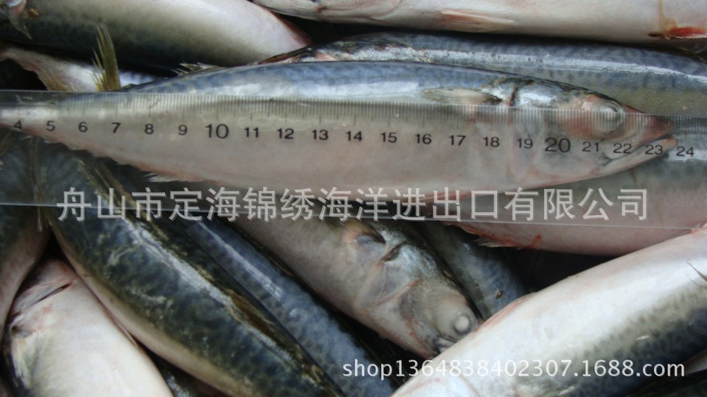      鲐鱼和鲅鱼都属于海水鱼类.