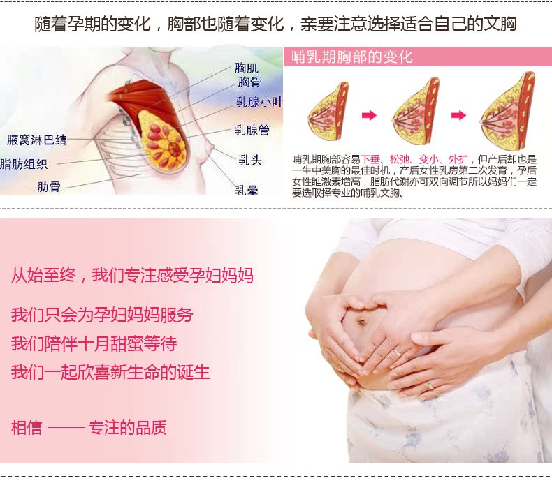 孕妇内衣-莫代尔 孕妇内衣喂奶<em>胸罩</em>产妇<em>哺乳期</em>