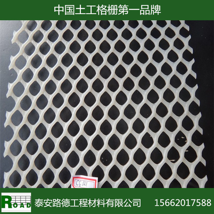 【促销】厂家直销土工网,高强土工网,规格齐全土工网