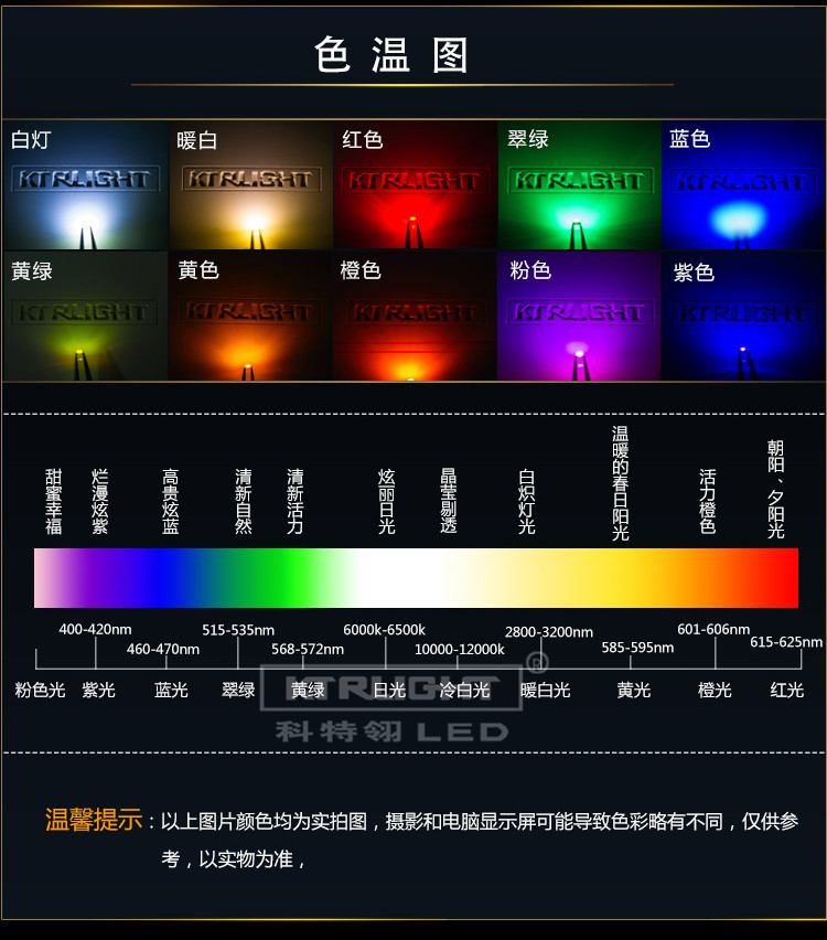 1206黃綠色整體_24