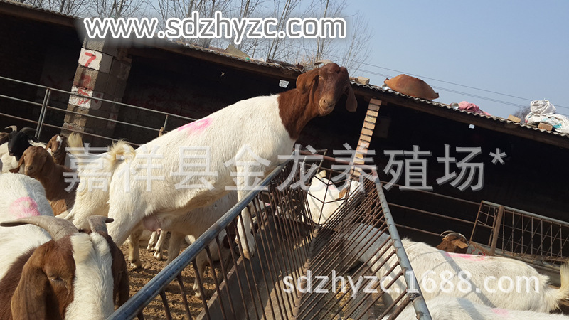 20140313_160131_副本