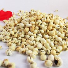 西藏贝母_西藏贝母价格_优质西藏贝母批发\/采