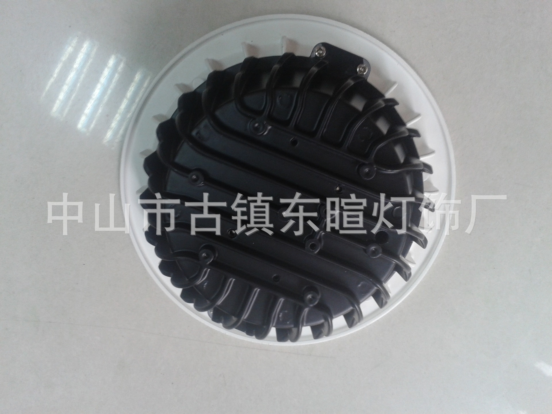 1069343913_1578906262