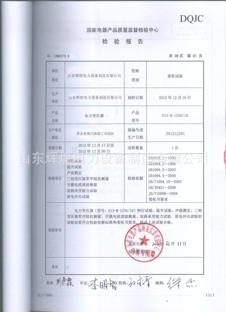 S13-1250检验报告 (1)