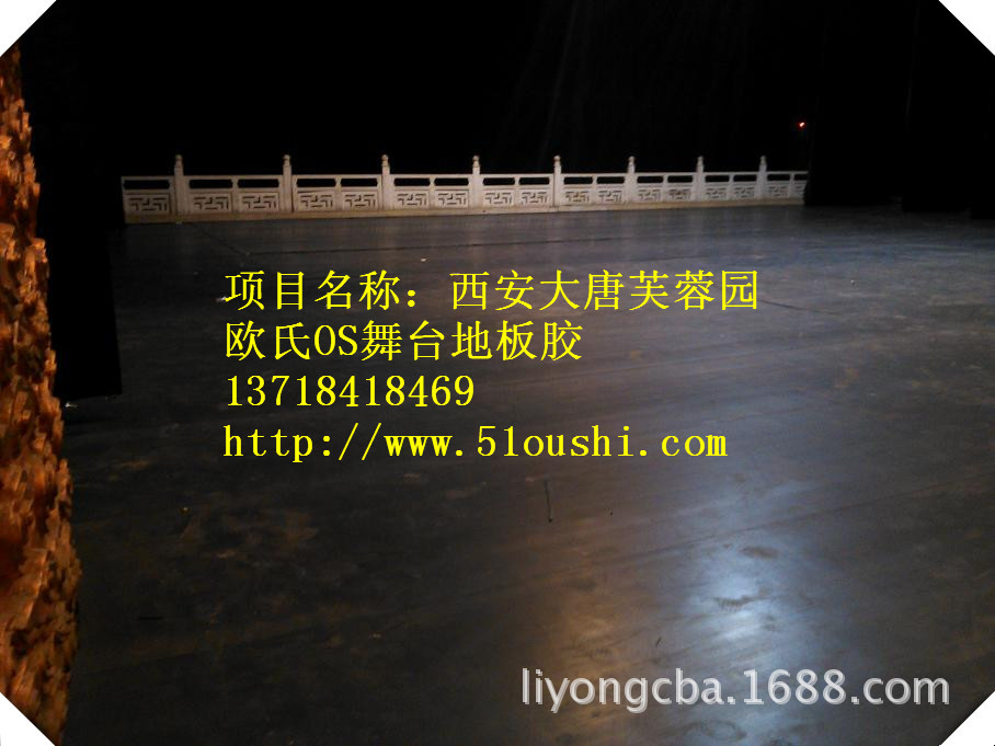 西安大唐芙蓉园_副本