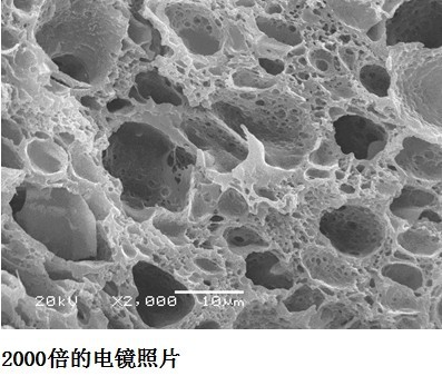 凝胶填料2000倍电镜照片