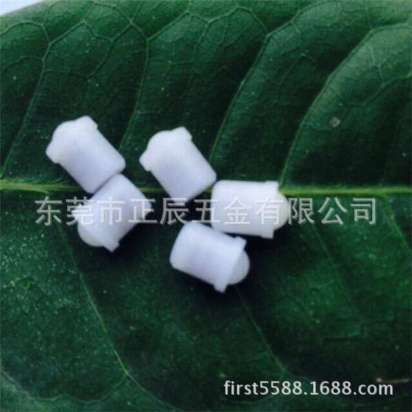 spring plunger 11_副本