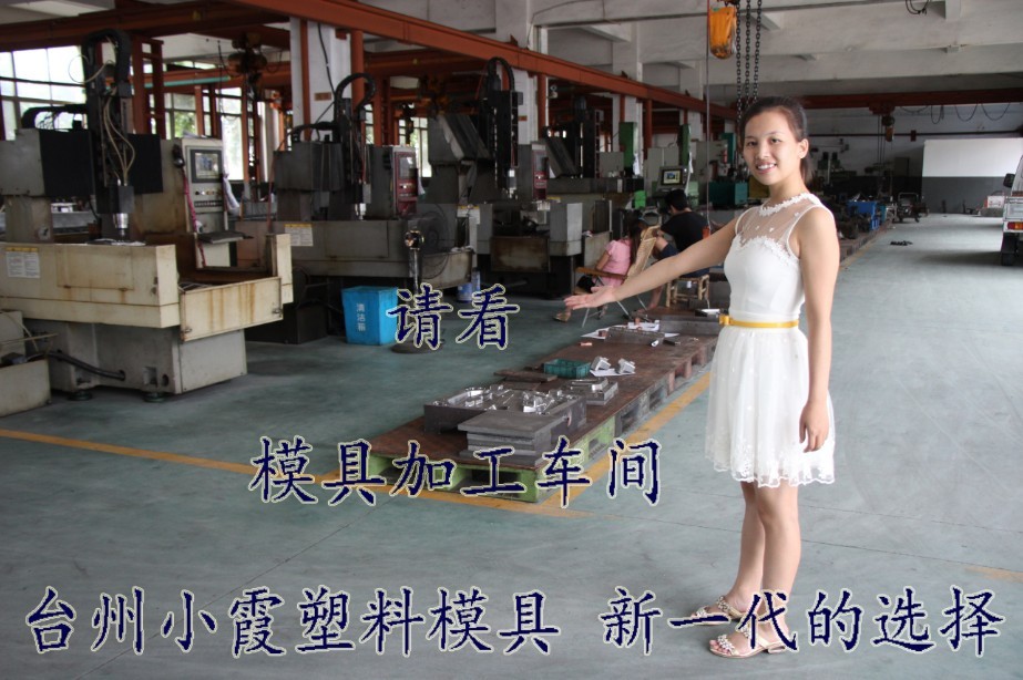 浙江小霞模具车间 (59)