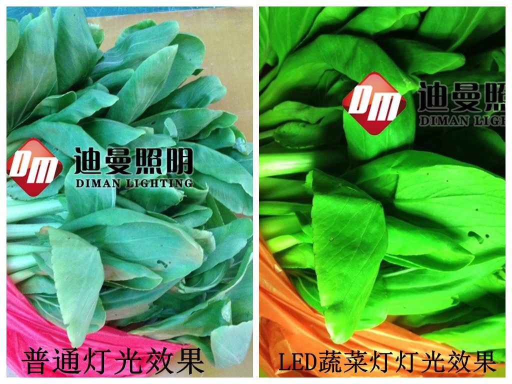 psb (8)_副本