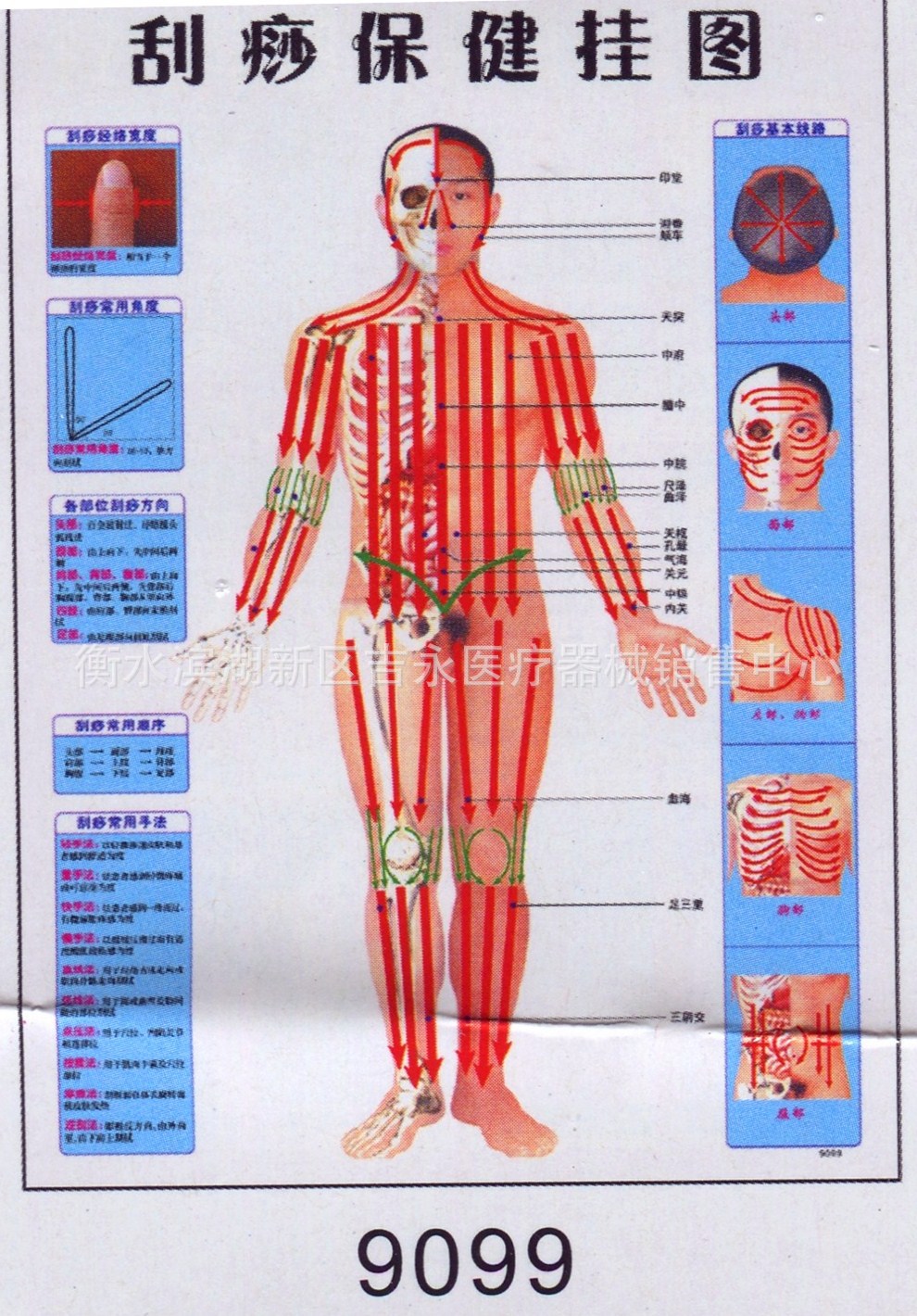 专业出售 刮痧保健穴位图 医院穴位图