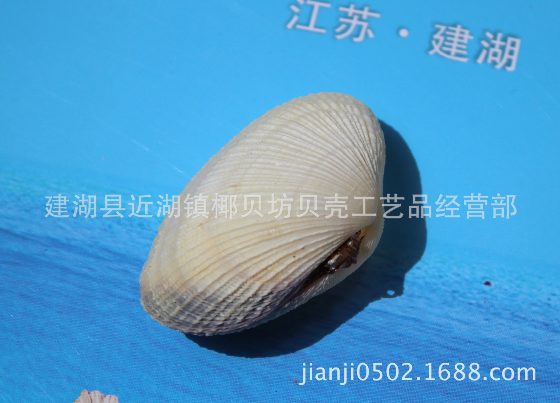 IMG_0792_2345看图王