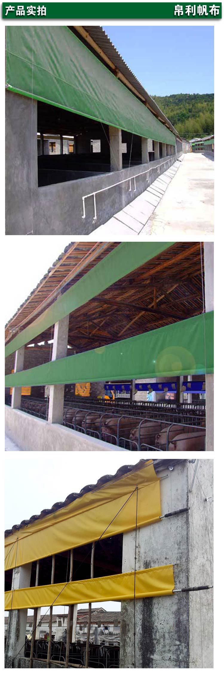 BLD产品实拍模板