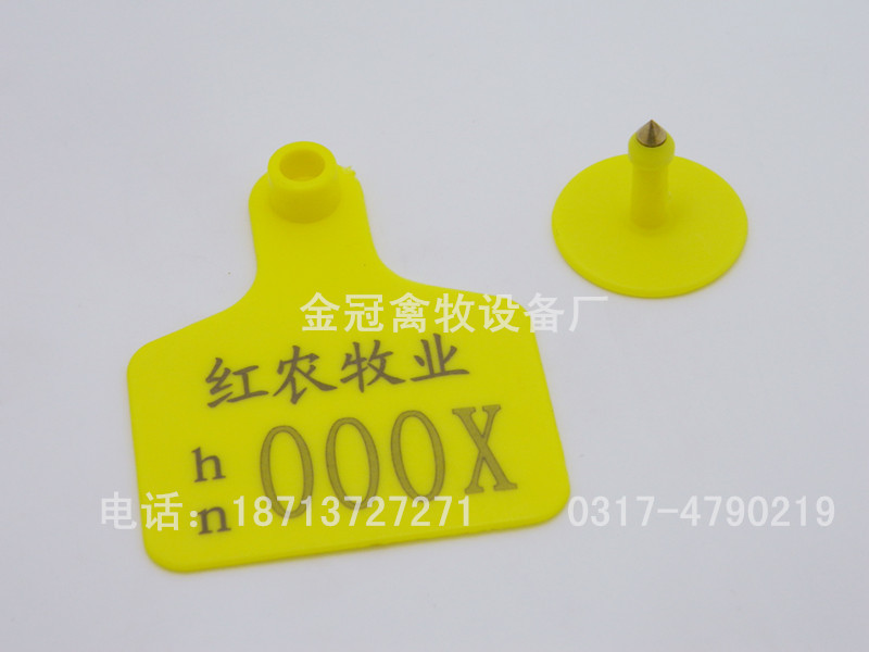 DSCN1555