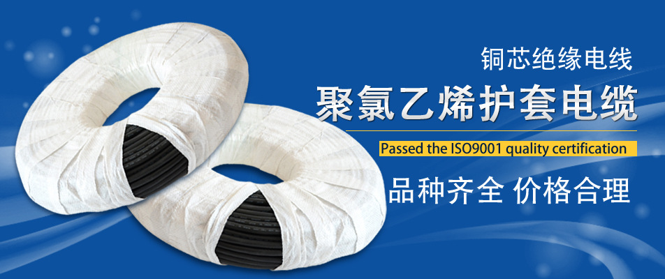 姑蘇區金閶徐祖明電線電纜經營部     鋪頭3