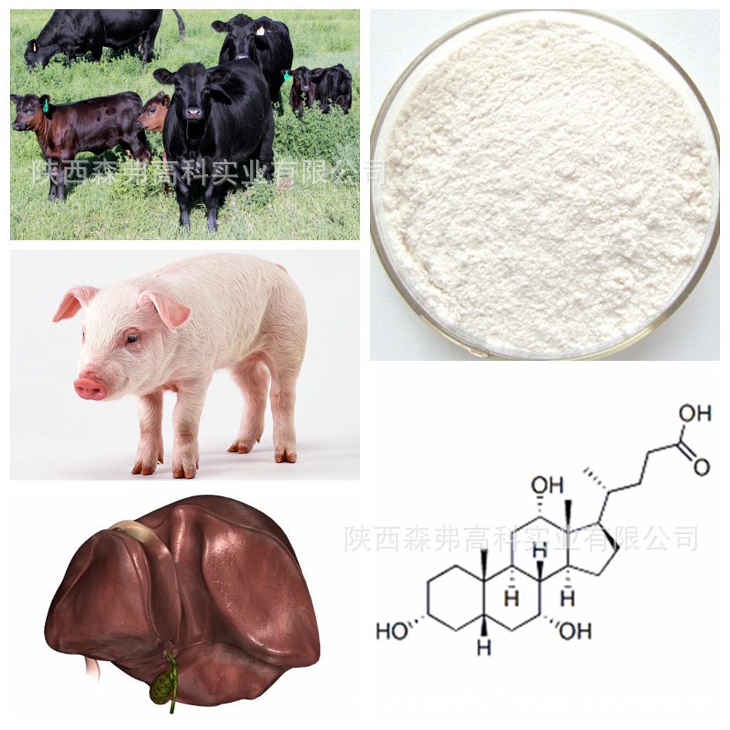 牛胆酸-牛胆酸 CA--阿里巴巴采购平台求购产品