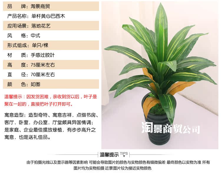 批发仿真植物小盆景盆栽假树风水树客厅卧室装饰 单杆黄心巴西木图片