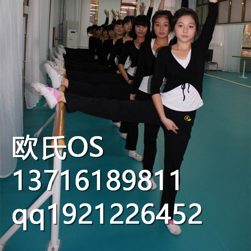 舞蹈练功房地胶把杆_副本
