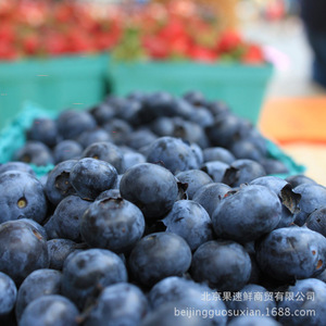 【北京蓝莓】北京蓝莓价格\/图片_北京蓝莓批发