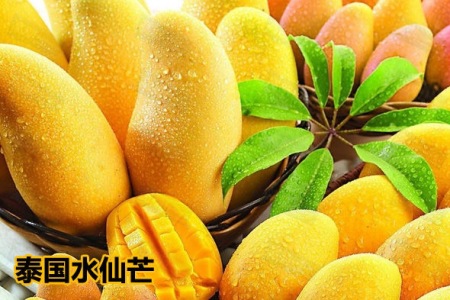 马来西亚水果进口代理报关公司|水果进口代理