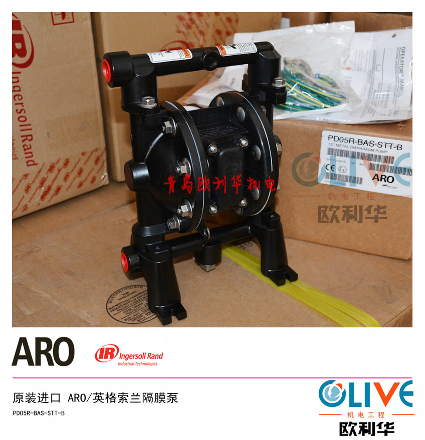 PD05R-BAS-STT-B 英格索兰气动隔膜泵 (6)
