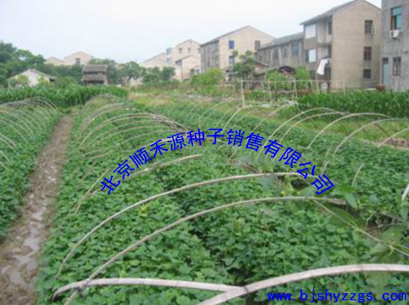 QQ图片20131125182427