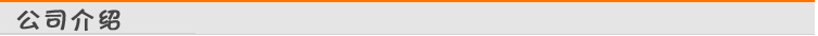 公司介绍