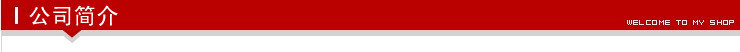 公司简介