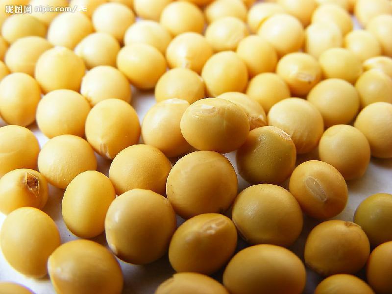 大豆-青白江省粮食储备库现款求购玉米,大豆--