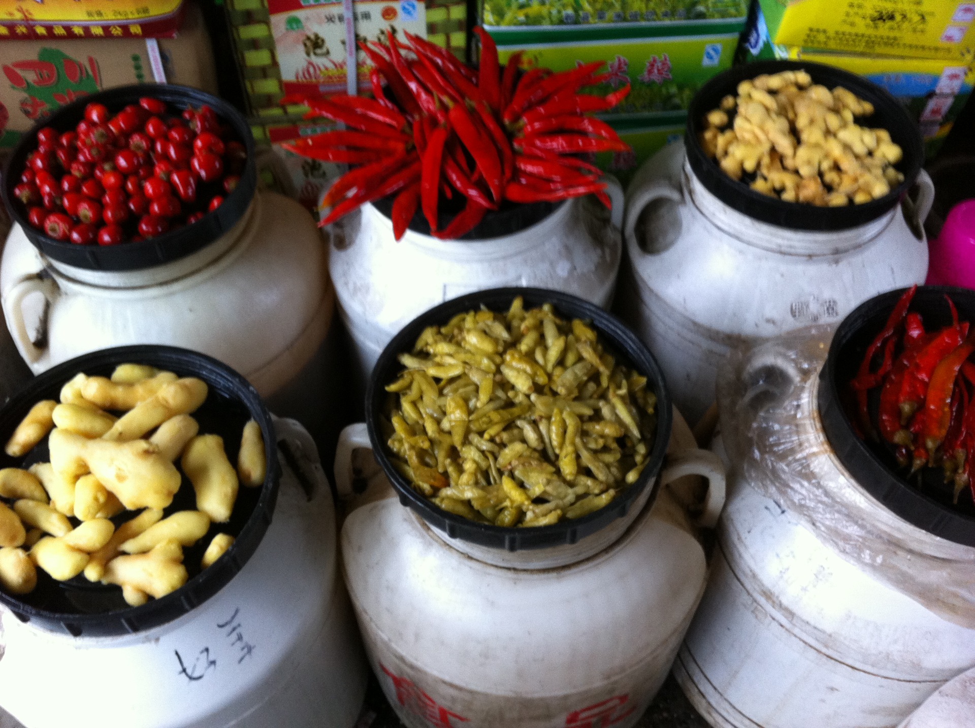 腌制水产品-s四川特产桶装泡菜,泡海椒,泡姜,泡